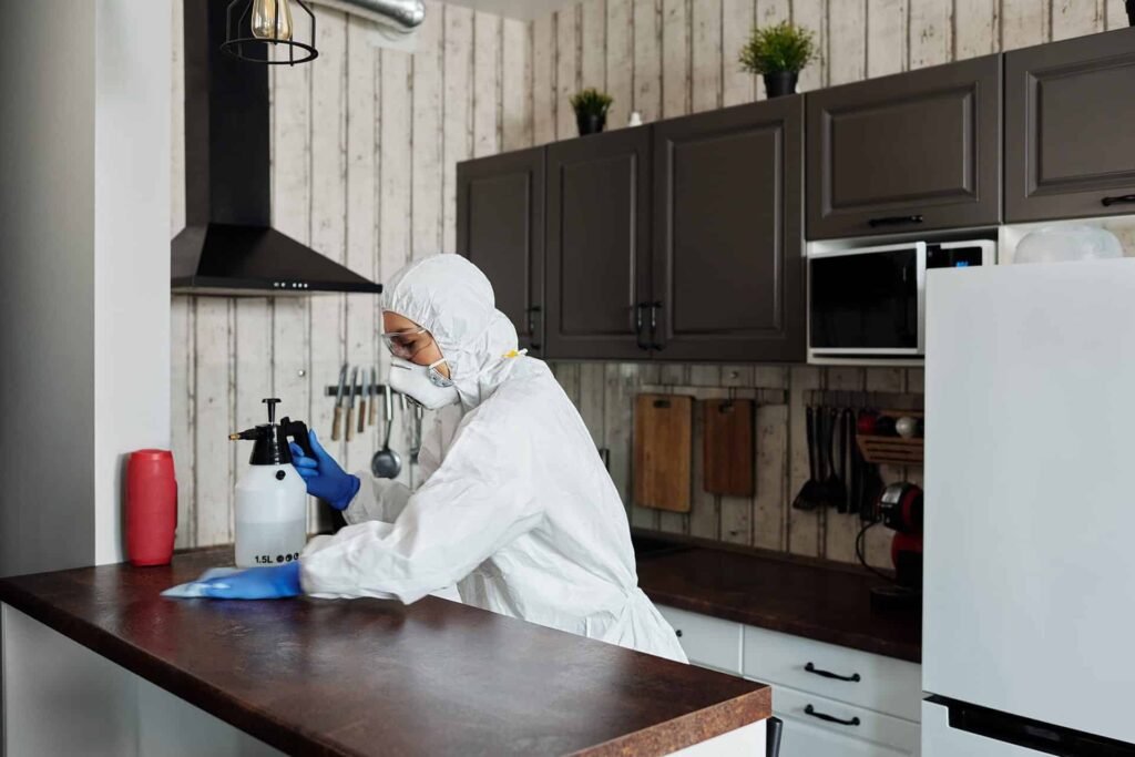 The best kitchen cleaning tips and tricks pexels matilda wormwood 4099470